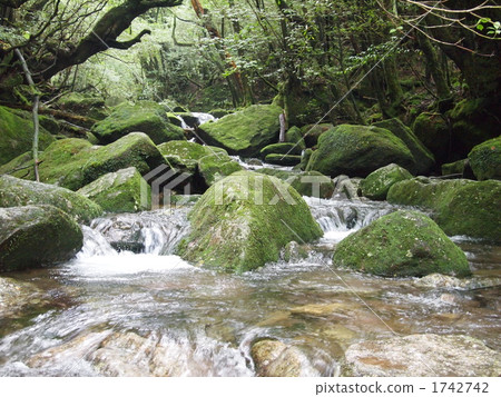 Shiratani Yunizu Gorge 1742742