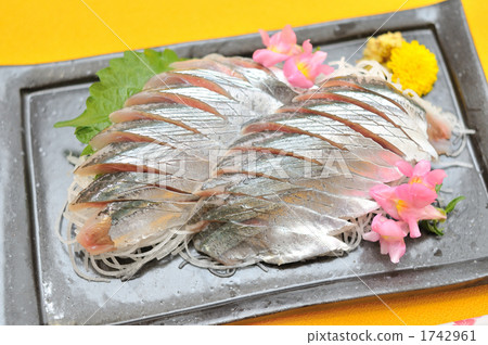 秋味秋刀魚生魚片 照片素材 圖片 圖庫