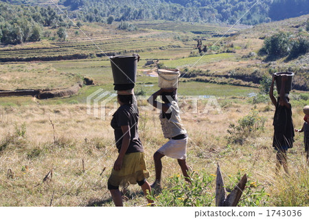 馬達加斯加郊區 馬達加斯加郊區 1743036