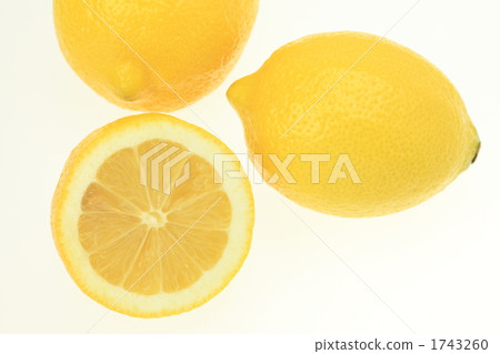 Lemon Lemon 1743260