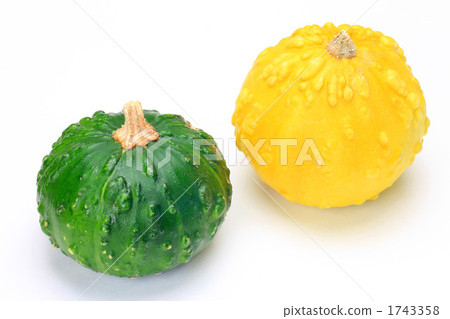 玩具壁球 1743358