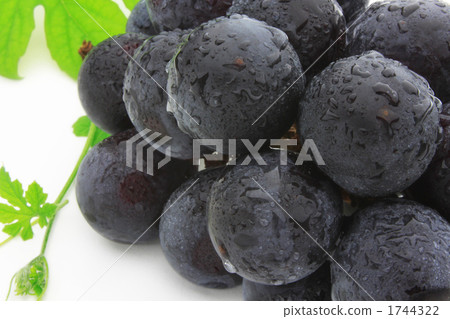 Grape (without seed gigantic peak) 1744322