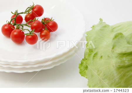 Mini tomatoes and lettuce 1744323
