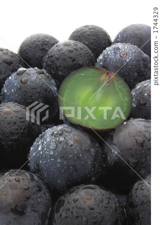 Grape (without seed gigantic peak) 1744329