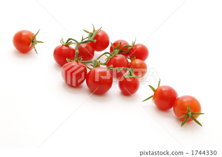  Mini Tomato 1744330