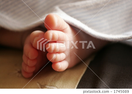 腳趾 身體部位 腳 1745089
