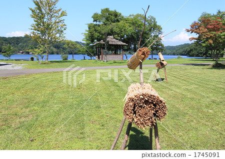 Ezo deer objects 1745091