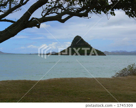 中國男人的小屋 1745309