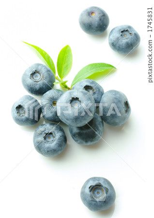 成熟的漿果 成熟的漿果 1745831