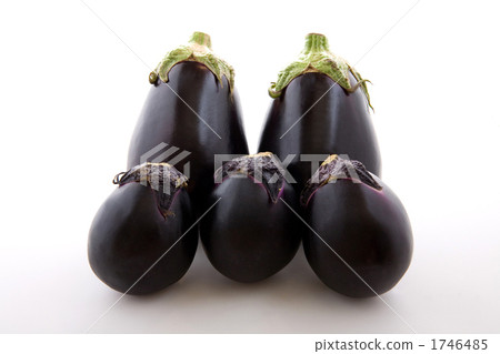 Rice Yezu和Kamo-ness 1746485