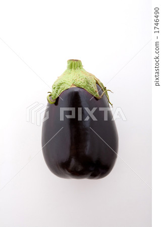 圓形茄子 圓形茄子 1746490