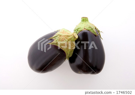 鳥瞰兩種茄子的米飯 鳥瞰兩種茄子的米飯 1746502