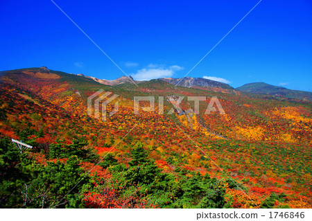 足立山山（秋天） 1746846