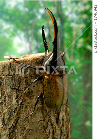 Hercules giant monkey Hercules giant monkey 1746942