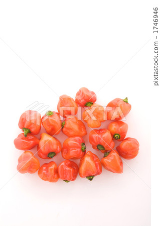 Cute habanero 1746946