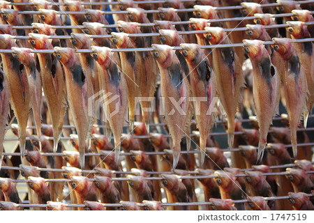 Overnight dried curry 1747519