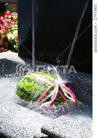 西瓜 水井 生態學 1747865