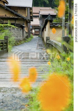 Pedestrian bridge Pedestrian bridge 1748168