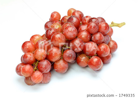Grape Grape 1749335