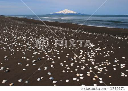 Seashell and Rishiri Fuji 02 1750171