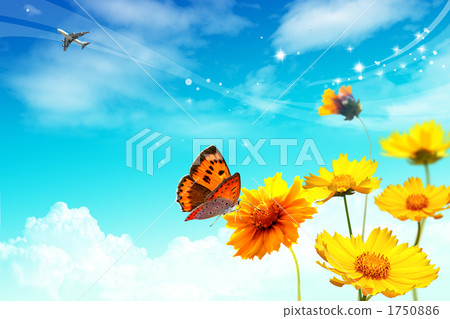 Flower _k_70531 Flower _k_70531 1750886