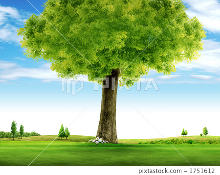 Kinohara _k_790880 1751612