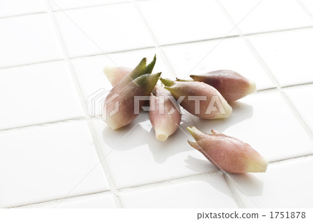 condiment, seasoning, diving blessing 1751878