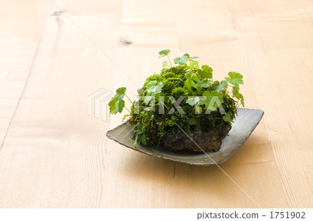 sundries, interior, interiors 1751902