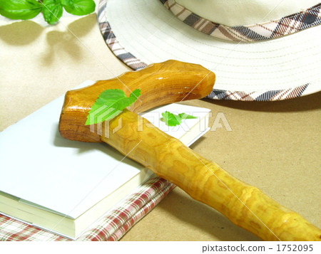 Wooden cane and paperback book [image of elderly people, walks and breaks] (side) 1752095