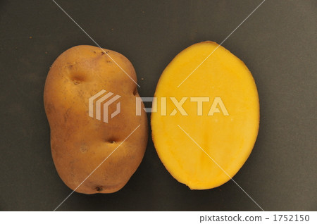 Inca's awakening meat color 1752150