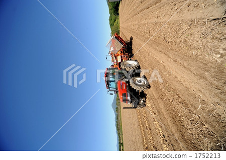 Autumn potato harvest 1752213