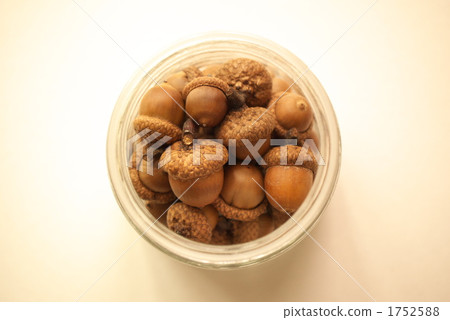 Acorn and bottle 1752588