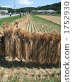 幹稻草 1752930