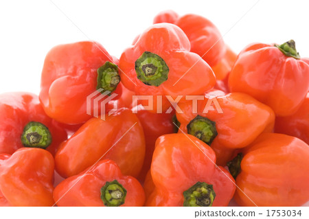 Habanero piles Habanero piles 1753034