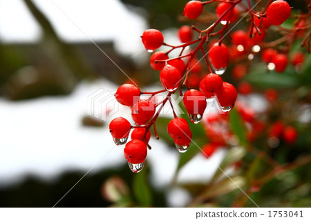 Southern Southern 1753041