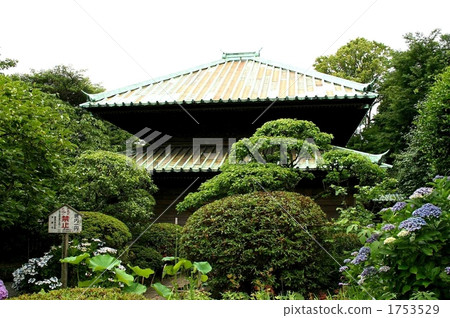 僅參觀鎌倉的Kandami寺 1753529