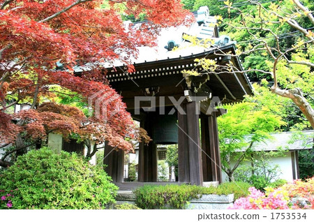 Visit Kozoji Temple, Kyoto University 1753534