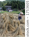 老式的農業工作景觀稻草綁 1753605