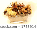 Basket of tree nuts 1753914