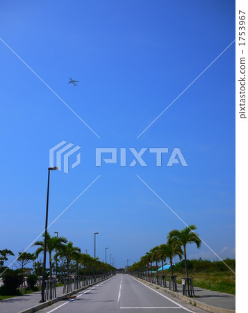 直路 藍天 棕櫚樹 1753967