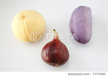 桃子和阿克比和比目魚 1753980