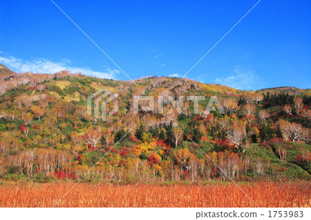 Tsugaike高原在秋天 Tsugaike高原在秋天 1753983