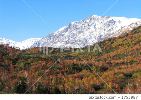 Tsugaike高原在秋天 Tsugaike高原在秋天 1753987