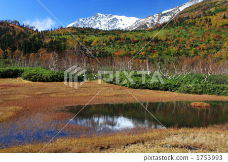 Tsugaike高原在秋天 Tsugaike高原在秋天 1753993