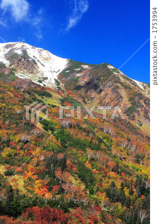 Tsugaike plateau in autumn 1753994