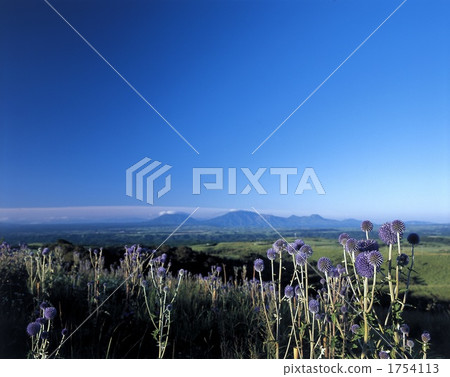 Higotai和Aso 1754113