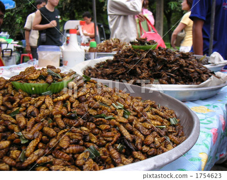 泰國素林食物攤位昆蟲食物 泰國素林食物攤位昆蟲食物 1754623