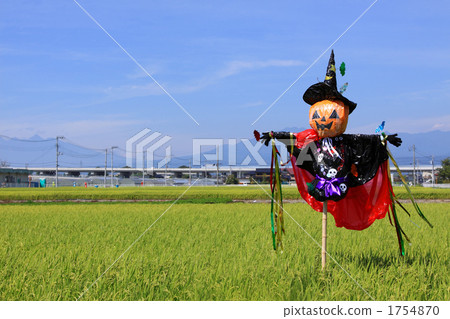 萬聖節裙子 1754870