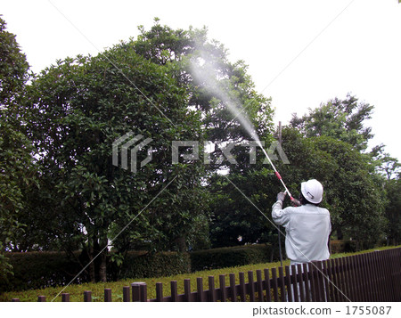 Drug application 1755087