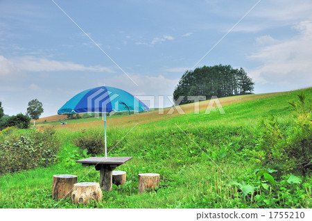 Relaxing hills 1755210